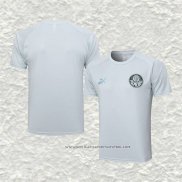 Camiseta de Entrenamiento Palmeiras 23-24 Gris